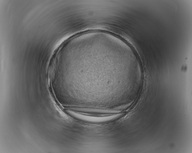 X0000114201127200910231337