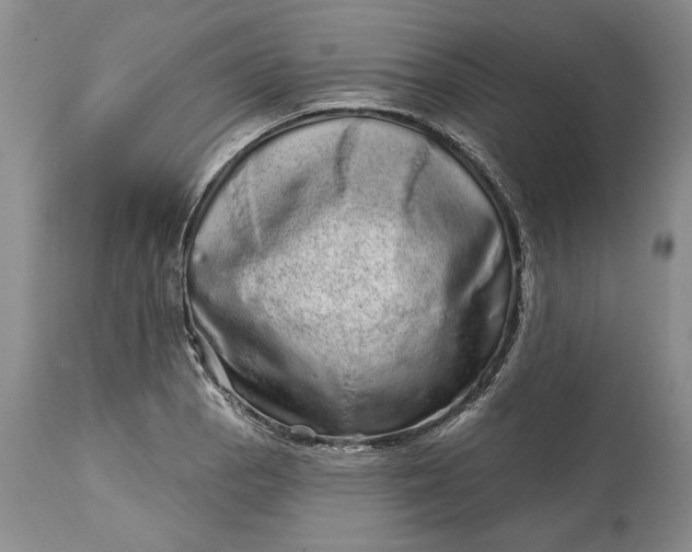 X0000114201129200910231337