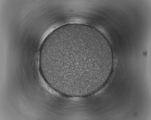 X0000114201130200910231337