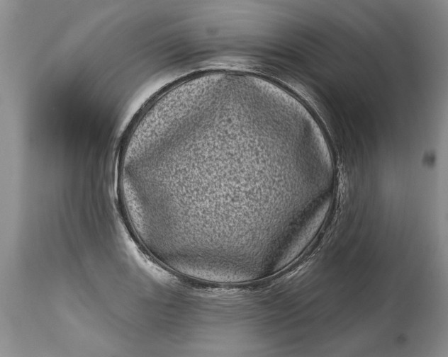 X0000114201131200910231337