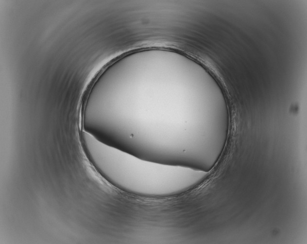 X0000114201132200910231337