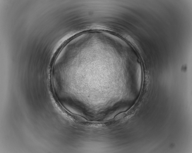 X0000114201133200910231337