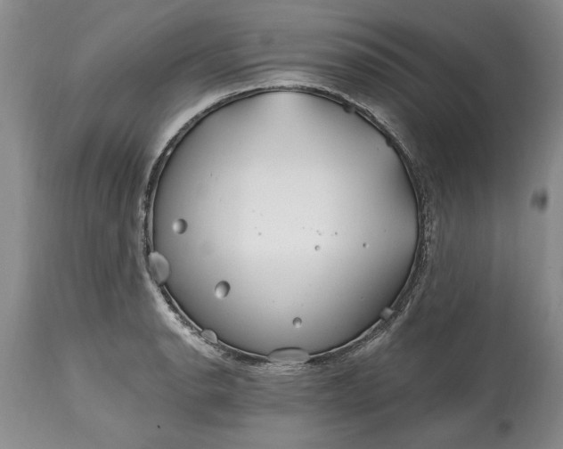 X0000114201134200910231337