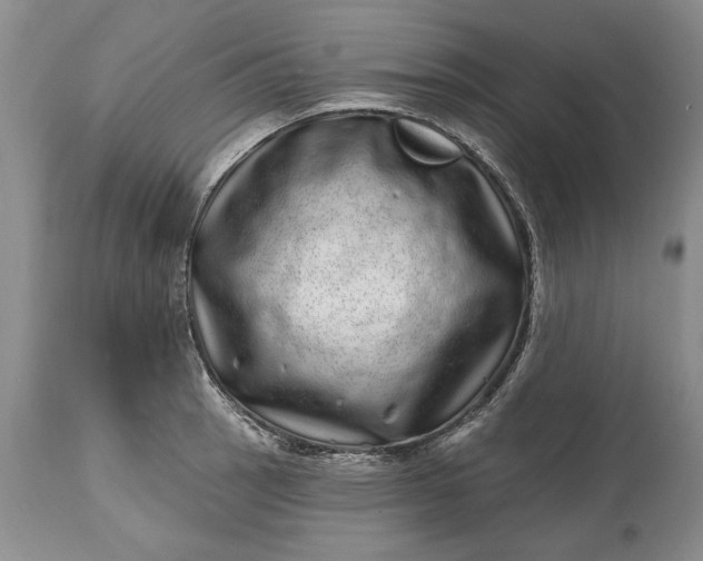 X0000114201137200910231337