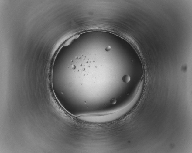 X0000114201138200910231337