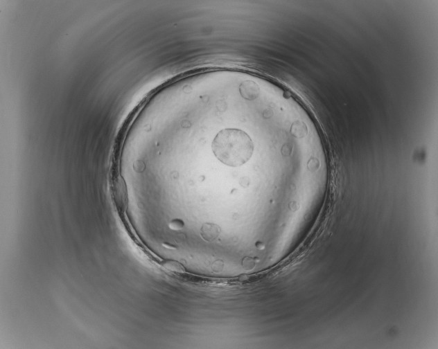 X0000114201139200910231337