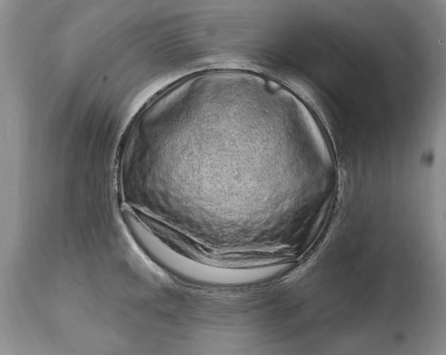 X0000114201141200910231337