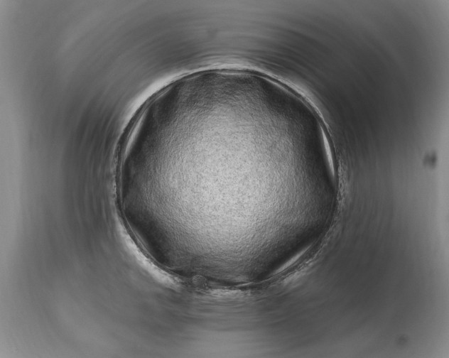 X0000114201142200910231337