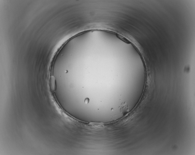 X0000114201144200910231337