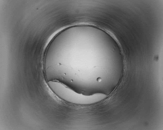 X0000114201148200910231337