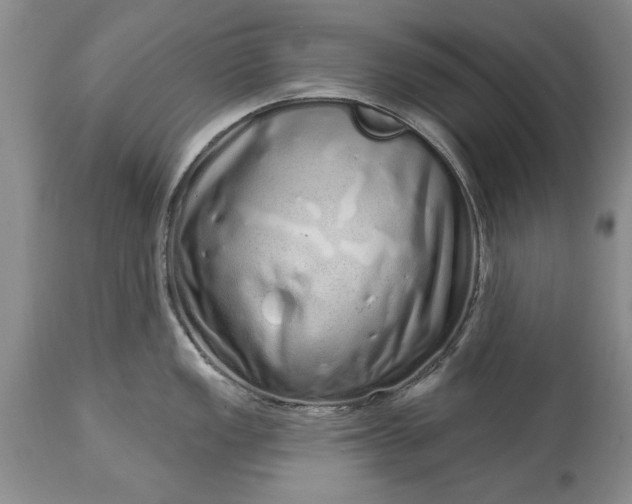 X0000114201149200910231337