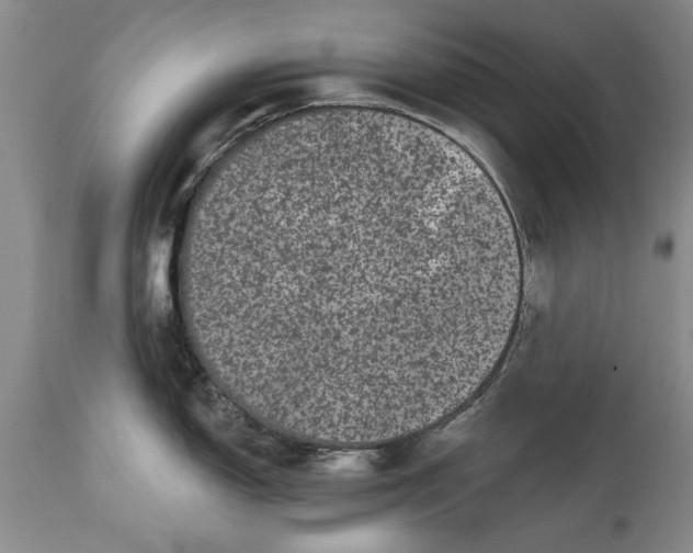 X0000114201150200910231337