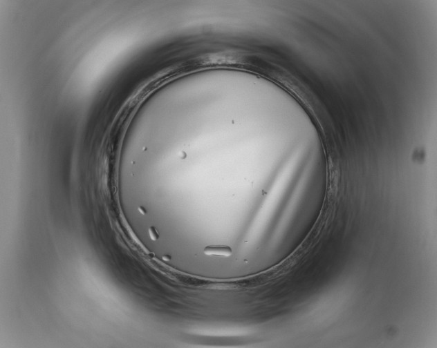 X0000114201151200910231337