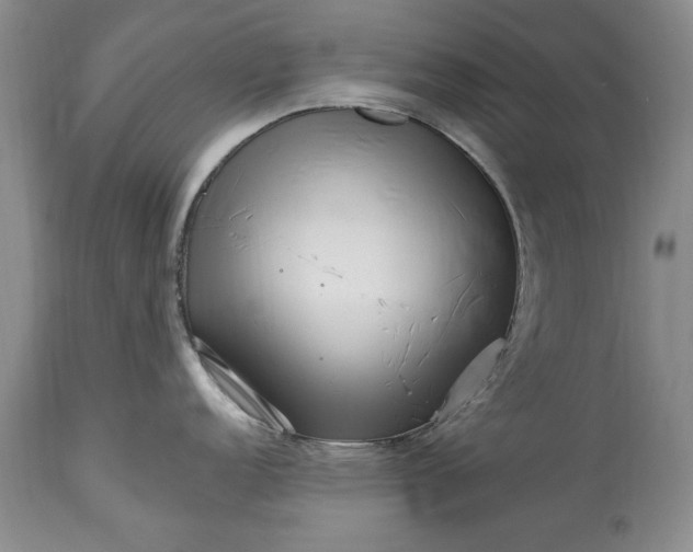 X0000114201152200910231337