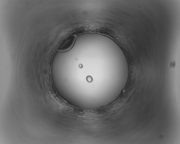 X0000114201153200910231337