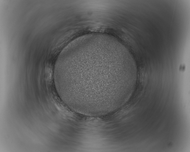 X0000114201154200910231337