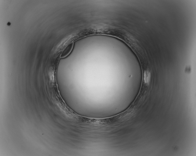 X0000114201155200910231337