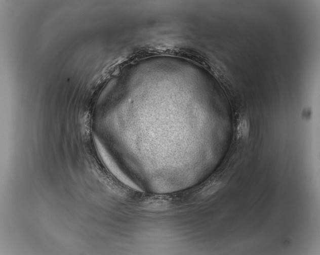 X0000114201156200910231337