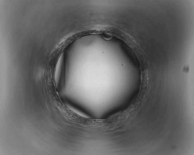 X0000114201158200910231337