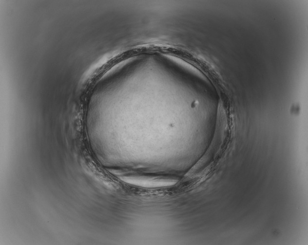 X0000114201159200910231337