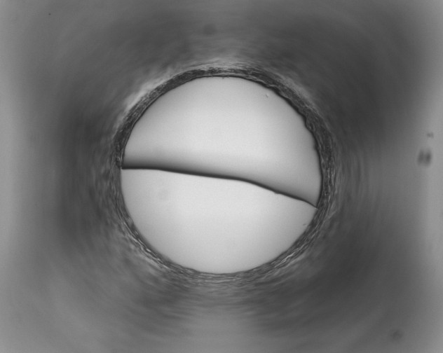 X0000114201160200910231337