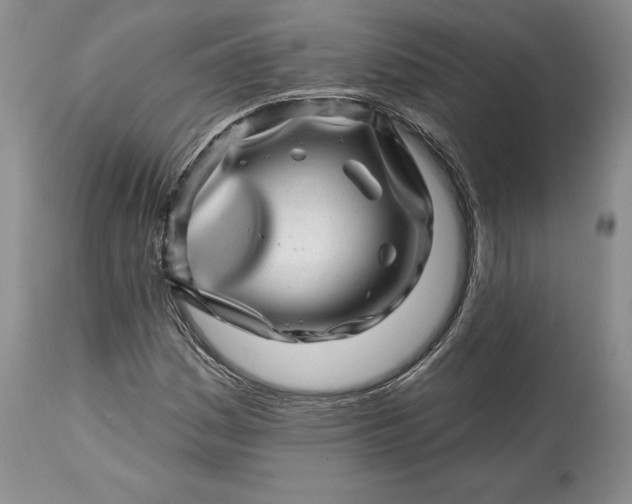 X0000114201161200910231337