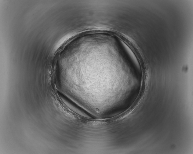 X0000114201163200910231337