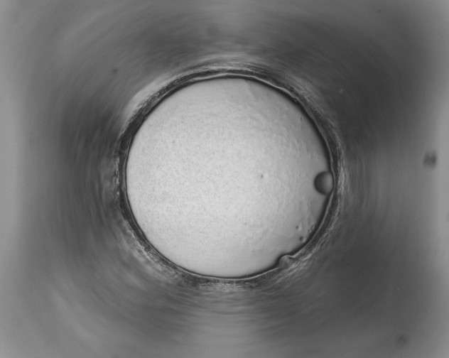 X0000114201164200910231337