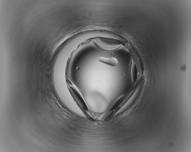 X0000114201165200910231337