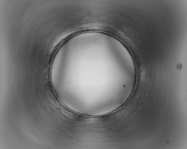 X0000114201166200910231337