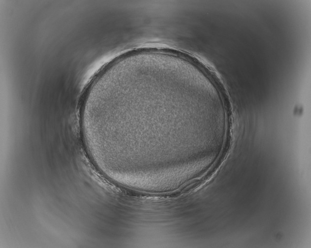 X0000114201167200910231337