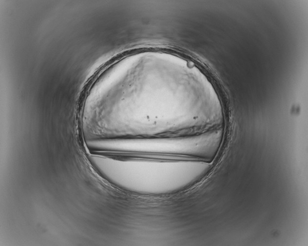 X0000114201168200910231337