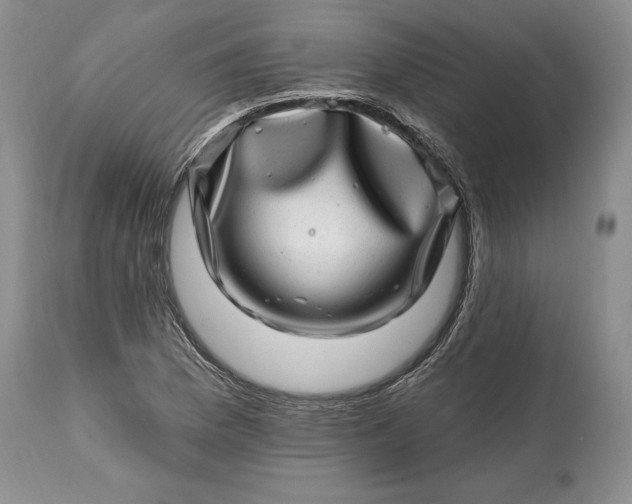 X0000114201169200910231337