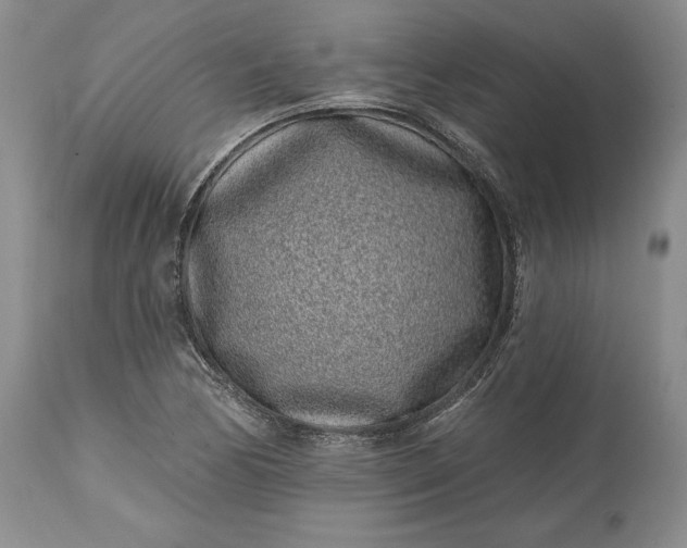 X0000114201170200910231337