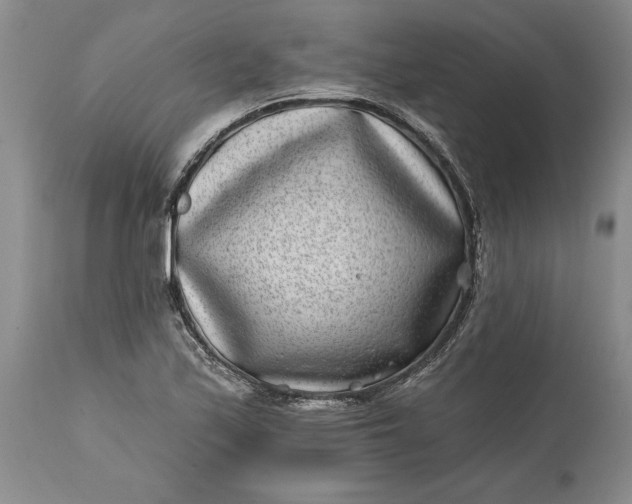 X0000114201171200910231336