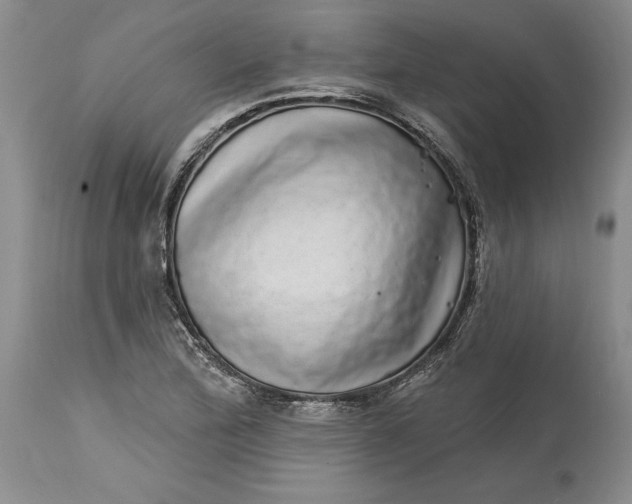 X0000114201172200910231336