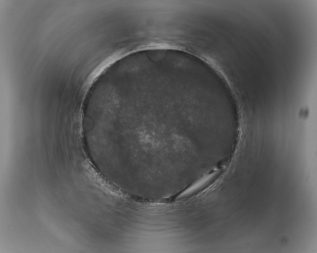 X0000114201173200910231336