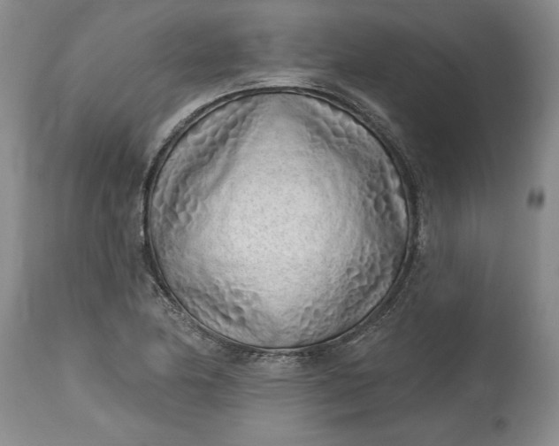 X0000114201174200910231336