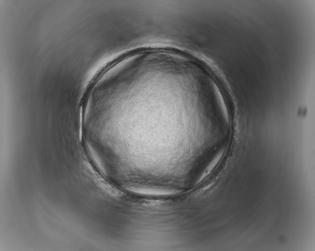 X0000114201175200910231336