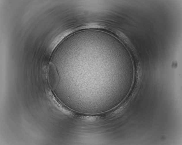 X0000114201177200910231336