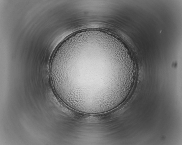 X0000114201178200910231336