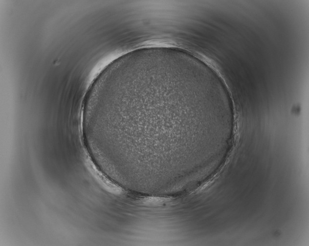 X0000114201179200910231336