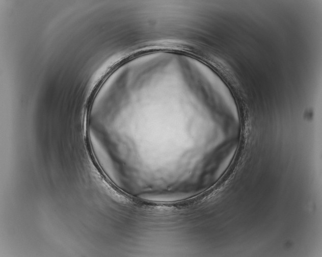 X0000114201180200910231336