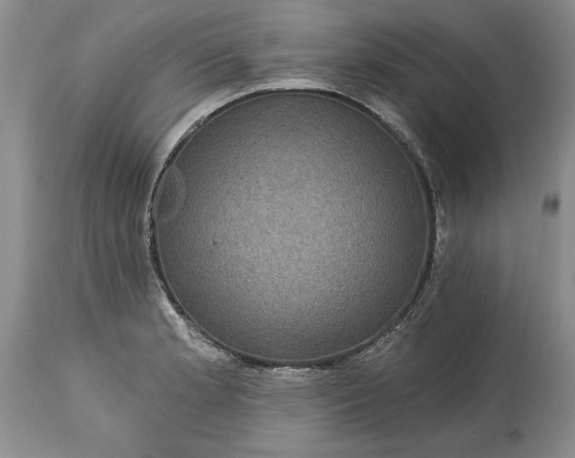 X0000114201181200910231336