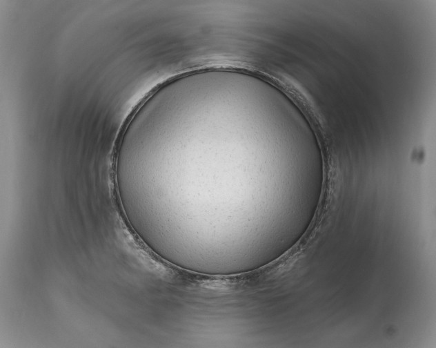 X0000114201182200910231336