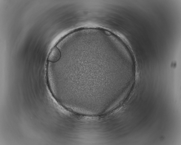 X0000114201183200910231336