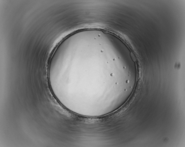 X0000114201184200910231336