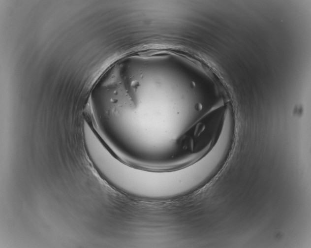 X0000114201185200910231336