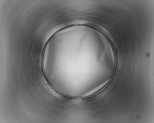 X0000114201186200910231336