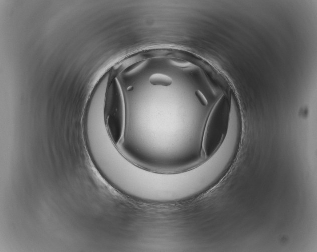 X0000114201189200910231336